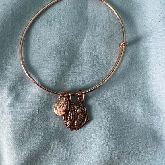 Alex & Ani Godspeed bracelet - Picture 3 of 3
